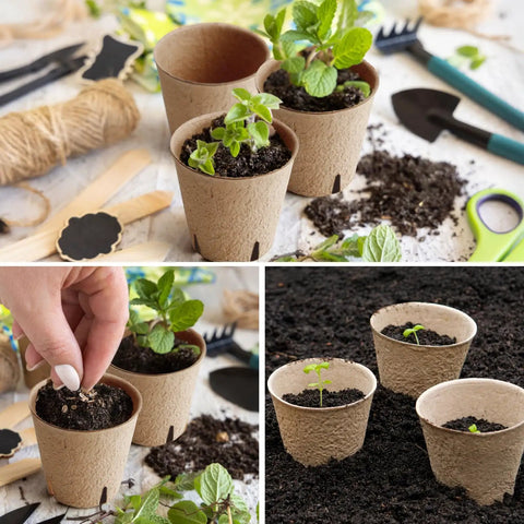 150 Pack All In One Seed Starter Kit Biodegradable Peat Pots 3.15 Inch With Drainage Holes shown with plants and tools