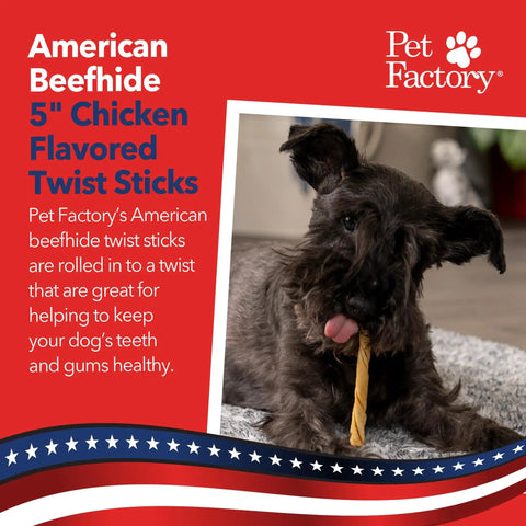 American Beefhide Twist Sticks For Dogs 5 Inch Rawhide Dental Chews With Chicken Flavor, dog chewing on twist stick