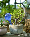 Glass Plant Watering Globes Set 2 Large 3 Small Self Watering Bulbs Spikes Easy Planter Insertion Indoor Outdoor Use Includes Free Soil Moisture Meter pH Meter in blue glass globe in potted succulent