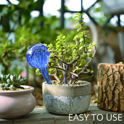 Glass Plant Watering Globes Set 2 Large 3 Small Self Watering Bulbs Spikes Easy Planter Insertion Indoor Outdoor Use Includes Free Soil Moisture Meter pH Meter in blue glass globe in potted succulent
