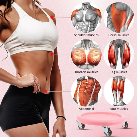 Diagram showing muscle groups targeted by Four Wheel Ab Roller For Core Workout With Knee Mat Must Have Non Slip Roller For Home Gym