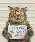 Cat holding sign in front of height chart, "I chewed the internet cable".