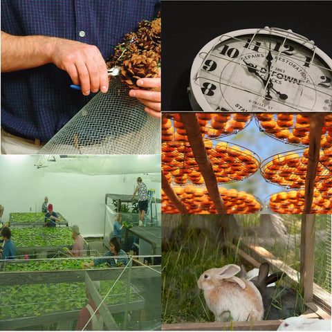 Collage with a person using Heavy Duty Galvanized Welded Wire Cloth Roll 36 Inch Wide By 100 Feet Long One Half Inch Mesh 19 Gauge Fencing.