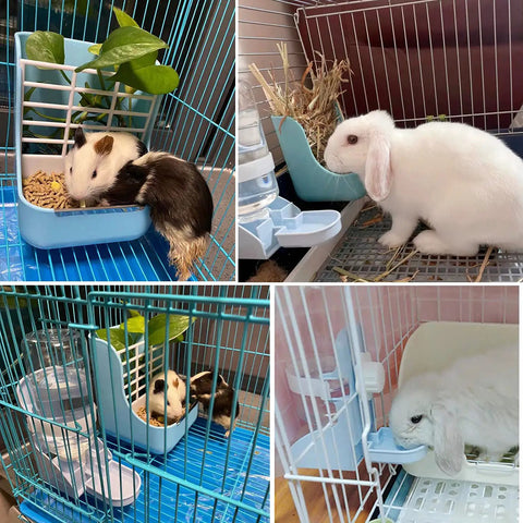 Heavy Duty 2 In 1 Hanging Hay Rack And Water Bottle Combo With Spacious Food Bowl For Bunnies Guinea Pigs Chinchillas And Little Critters Keeping Cages Clean in a pet enclosure.