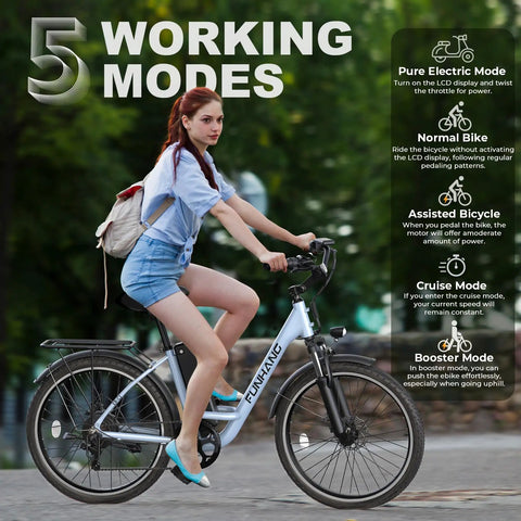 Electric Bike For Adults With 1000W Peak Motor And 20 MPH Top Speed City Cruiser Ebike With 48V Battery In Use On Path