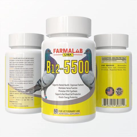 Vitamin B12 5500 Mcg With Iron Pigeon Supplement For Health And Performance, 60 Tablets, front and back view of bottle