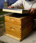 Beekeeper opening Natural Wood 10 Frame Langstroth Beehive Parts Kit with telescoping top cover