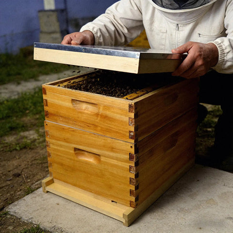 Beekeeper opening Natural Wood 10 Frame Langstroth Beehive Parts Kit with telescoping top cover