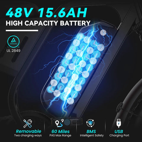 Adult Fat Tire Electric Bike With Fast Speed, NFC Password Unlock And Big Color LCD Screen For Street Riding And Off Road Adventure All Day 48V 15.6Ah battery