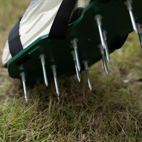 Close-up of Lawn Aerator Spike Shoes With Three Metal Buckle Straps Green Spiked Sandals penetrating grass for aeration