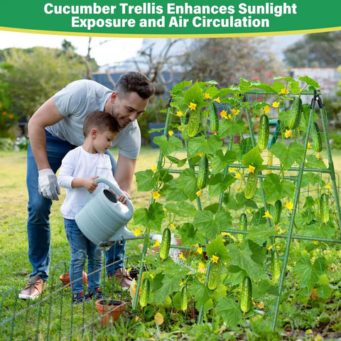 Two Pack Garden Trellis For Raised Beds 51 By 35 Inches Heavy Duty Adjustable A Frame Climbing Net For Cucumber Tomatoes Peas Beans Squash Grapes Outdoor Plant Support Kit No Fuss Setup With Poles Connectors Ties Clips And Gloves in use by a man and boy tending plants.