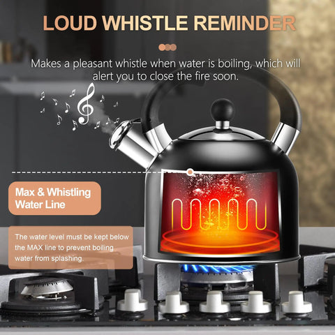 Old School Vintage Style Whistling Tea Kettle With Ergonomic Handle 3.17 Quart Premium Stainless Steel Teapot on stove