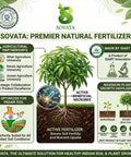 Guava Growth Food Organic Fertilizer For Fast Growth And Heavy Fruiting 200 G With Nitrogen Phosphorus Potassium And Microorganisms For Big Yields In Your Home Garden, natural fertilizer label