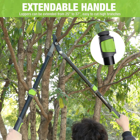 Extendable Anvil Lopper For Gardening With 25 To 37 Inch Reach, Cuts Branches Up To 1.6 Inches shown trimming tree branches