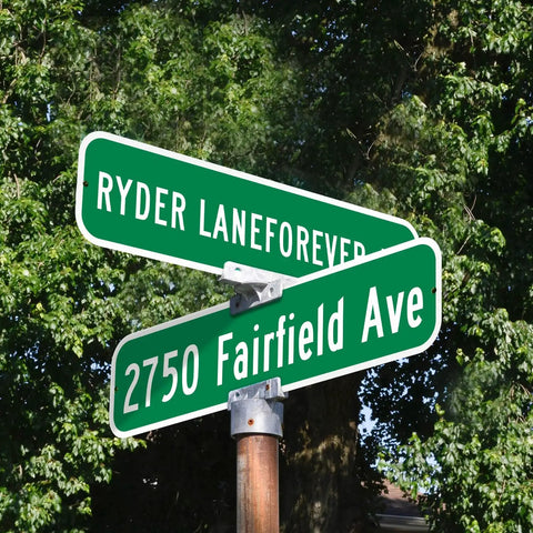 Custom Green Street Signs Personalized Aluminum Yard Decor Rock Solid Heavy Duty Outdoor Message Plate 6 By 24 Inches at an intersection.