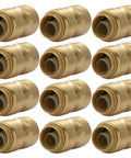 12 Pack 1/2 Inch FNPT Push To Connect Brass Plumbing Adapter Fittings for Quick Transitions From Pipe to MNPT Thread In PEX Copper CPVC PE-RT HDPE