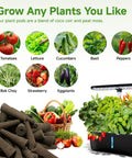 60 Pack Hydroponic Grow Sponges Replacement Pods For AeroGarden And Indoor Systems arranged with vegetables and greens
