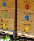Wooden beehive with colorful entrance reducers shown in use, part of Four Pack Wood Beehive Entrance Reducers for Ten Frame Beehives.