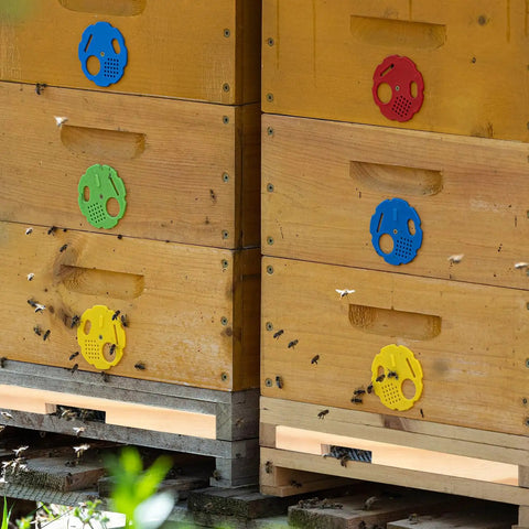 Wooden beehive with colorful entrance reducers shown in use, part of Four Pack Wood Beehive Entrance Reducers for Ten Frame Beehives.