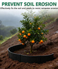 Spliceable Slope Planter Kit with Shovel, 20 Pcs Round Edging Rings for Erosion Control supporting orange tree on slope.