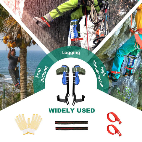 Tree Climbing Spike Set With Foot Straps And Ankle Straps, Anti Slip Climbing Tools For Pruning, Forestry Work, Hunting, Ergonomic Design