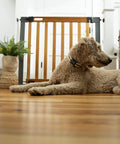 Dog lying in front of oak wood and metal baby and pet gate for 36 to 60 inch openings, 30 inch tall, no drill pressure mount