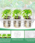 10 Pack Seed Starter Tray Kit With 60 Cell Seedling Trays shown with humidity dome and green seedlings inside.
