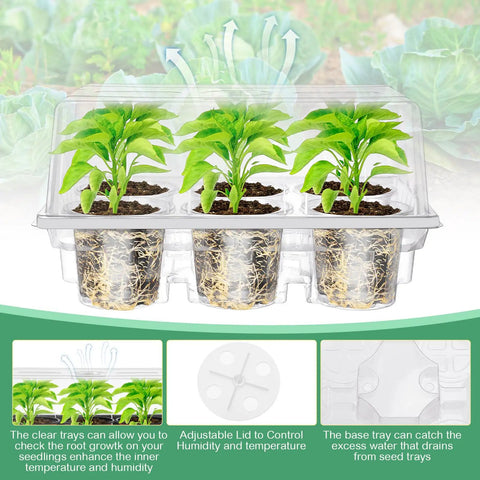 10 Pack Seed Starter Tray Kit With 60 Cell Seedling Trays shown with humidity dome and green seedlings inside.