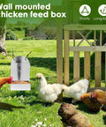 Durable Outdoor Premium Galvanized Steel Oyster Shell And Chicken Grit Feeder Featuring Roomy Hopper Auto Gravity Dispenser in use.