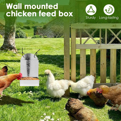 Durable Outdoor Premium Galvanized Steel Oyster Shell And Chicken Grit Feeder Featuring Roomy Hopper Auto Gravity Dispenser in use.