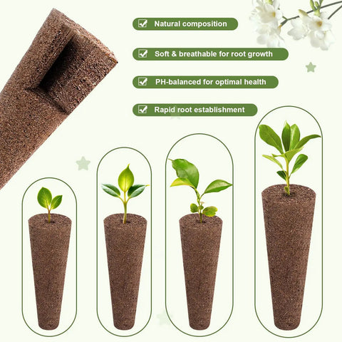 Growth stages in 79 Piece Indoor Hydroponic Seed Pod Kit With Sponges Domes Baskets Labels And Tweezer Compatible With Aerogarden.