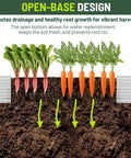 Cross-section of Galvanized Metal Raised Garden Bed Kit 2 Pack 6x3x1 Ft Open Bottom Planter Box showing roots in soil.