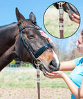 Woman holding horse connected with 20 Pack Heavy Duty Stainless Steel Rope Clamps, Double Clip Set For Three Eighths To One Half Inch Ropes