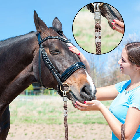 Woman holding horse connected with 20 Pack Heavy Duty Stainless Steel Rope Clamps, Double Clip Set For Three Eighths To One Half Inch Ropes