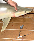 Beefy 3ft 480Lb Bite-Proof Stainless Leader With 12/0 Circle Hook For Surf Casting And Big Game Fishing, Saltwater Tough in use