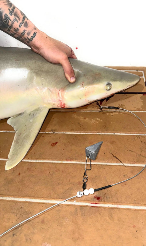 Beefy 3ft 480Lb Bite-Proof Stainless Leader With 12/0 Circle Hook For Surf Casting And Big Game Fishing, Saltwater Tough in use