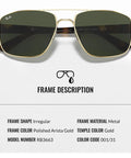 Square Round Sunglasses For Men Non Polarized Green Lens With Official Eyewear Kit modern frame with gold metal details