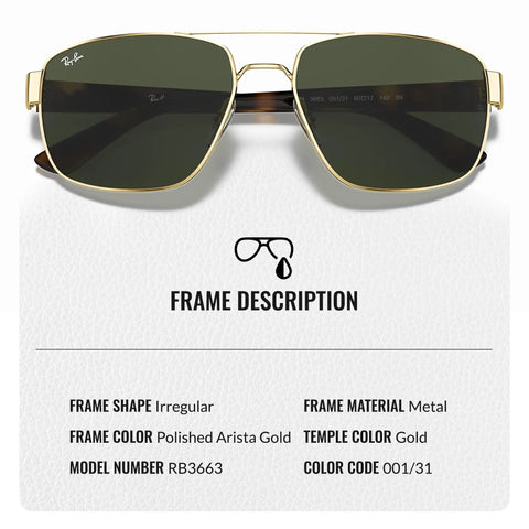 Square Round Sunglasses For Men Non Polarized Green Lens With Official Eyewear Kit modern frame with gold metal details