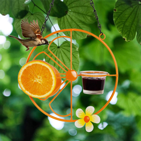 Oriole Bird Feeder For Outdoors Jelly And Oranges, Orange Fruit Feeder With Glass And Metal Build, Durable Patio Station