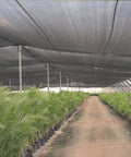 Black 40 Percent Shade Cloth For Plants 10x50ft over greenhouse protecting rows of plants, made of durable HDPE mesh allowing air and water flow.