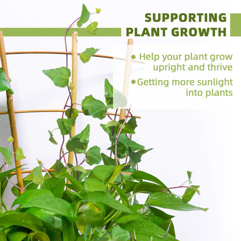 Five Pack 16 Inch Bamboo Trellis For Climbing Plants With Natural Garden Ladder Fan Style Support To Help Upward Growth