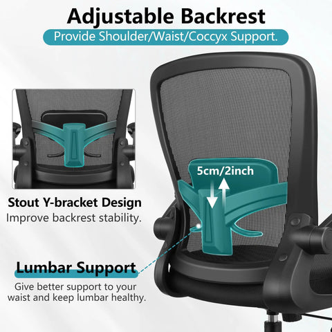 Adjustable backrest with lumbar support on All Day Comfort Ergonomic Office Chair With Breathable Mesh, Black