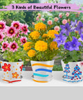 Paint And Plant Kid Friendly Gardening Kit For Boys And Girls, Fun Flower Pot Painting Set With Plant Markers, Seeds, Tools, And Grow Garden Craft Activities, The Ultimate Outdoor Creative Gift For Ages Four To Fourteen showing three decorated flower pots with blooming flowers.