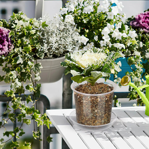 Clear Nursery Pots With Drainage Holes And Saucers, 40 Pack In 4, 5, 6, 7 Inch Sizes on a balcony table with flowering plants