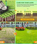 Infographic showing Lawn Aerator Tool With 15 Iron Spikes For Quick Soil Aeration In Your Yard And Garden, before and after use.