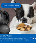 1080P Indoor Pan Tilt Security Camera observing a dog with two-way audio feature, ideal for home surveillance and pet monitoring.