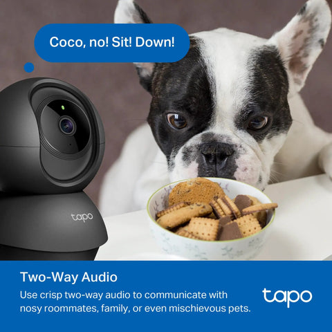 1080P Indoor Pan Tilt Security Camera observing a dog with two-way audio feature, ideal for home surveillance and pet monitoring.