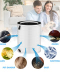 Diagram showing Replacement Filter For MAX MAGE And MAGE Pro Purifiers Easy Install, highlighting smoke and odors filtration.