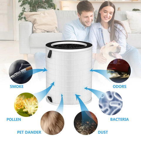 Diagram showing Replacement Filter For MAX MAGE And MAGE Pro Purifiers Easy Install, highlighting smoke and odors filtration.
