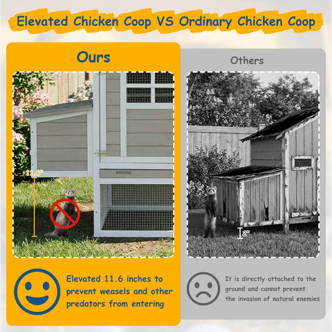 Comparison of elevated Outdoor Chicken Coop For 2-4 Chickens with reinforced frame and ordinary coop on grassy background.